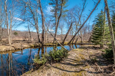 1015 Stow Rd, Stow, ME 04037 - photo 3