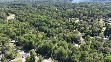 Lot 226 N Canyon Dr, Onalaska, TX 77360 - photo 4