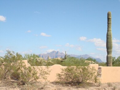 Mountain Views 1