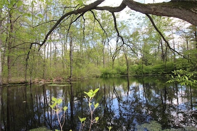 Pond