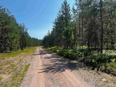 119 Gordon Rd, Harvey, MI 49855 - photo 3