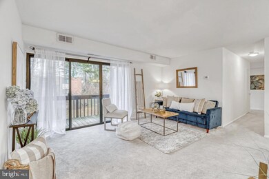 10720 West Dr unit 303, Fairfax, VA 22030 - photo 7