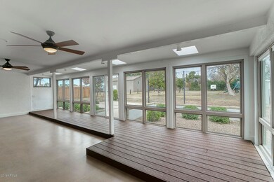 mesquite_06 - Copy