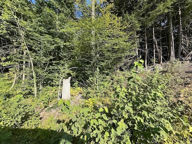 90 Old Swanzey Rd, Winchester, NH 03470 - photo 5