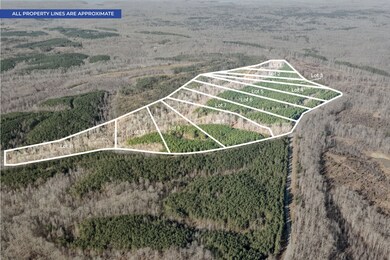 6 Cottrell Ridge Rd, Dover, TN 37058 - photo 4