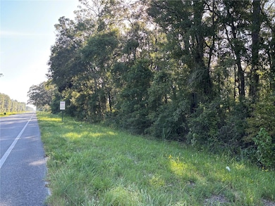 0 NE Highway 351, Cross City, FL - photo 2