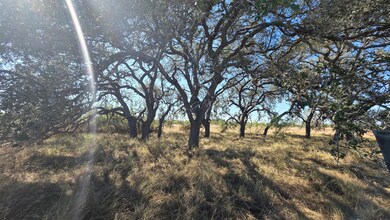 Hwy 281 Fm 755, Encino, TX 78353 - photo 7