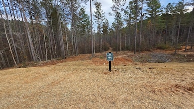 94 Springfield Pkwy, Ellijay, GA 30540 - photo 4