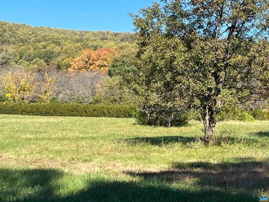 3083 Ellerslie Dr, Charlottesville, VA 22902 - photo 3