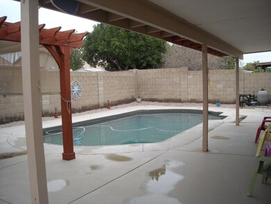 Back Yard w/Pool