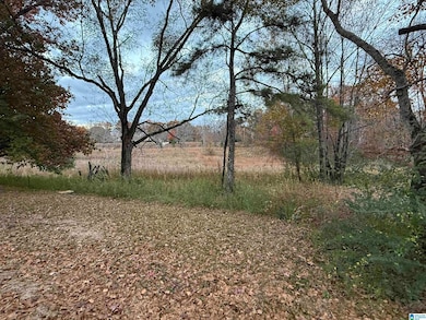 3 Springs Cove Rd, Warrior, AL 35180 - photo 2