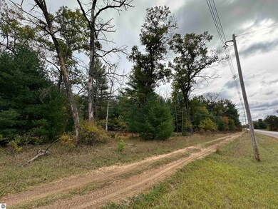 00 Rifle River Trail, Prescott, MI 48756 - photo 2