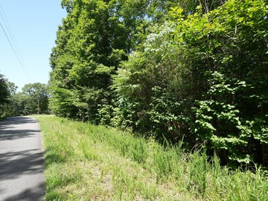 5 Tummins Rd, McEwen, TN 37101 - photo 3