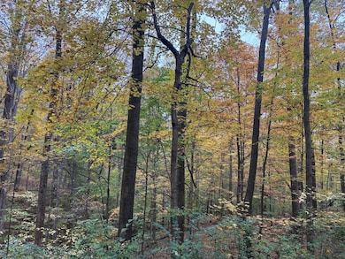 1511 E Richland Dr, Bloomington, IN 47408 - photo 5