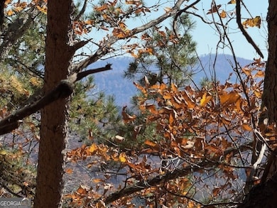 0 John Call Rd unit 10646302, Talking Rock, GA 30175 - photo 6