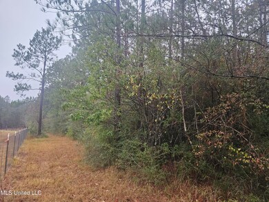 0 E Lake Cypress Dr unit 4133035, Perkinston, MS 39573 - photo 2