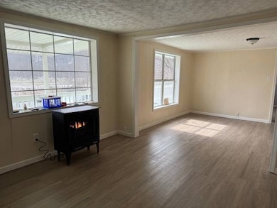 2647 S Us Highway 19e, Newland, NC 28657 - photo 6