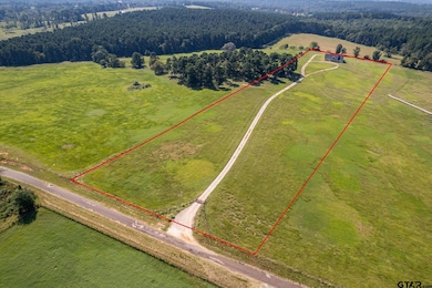 2217 County Road 4709, Troup, TX 75789 - photo 2