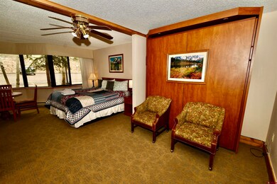 6 Emmons Rd unit 113, Crested Butte, CO 81225 - photo 4