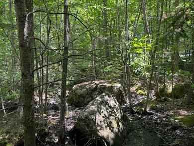 Lot 19 Thomas Pond Shore Rd, Casco, ME 04015 - photo 7
