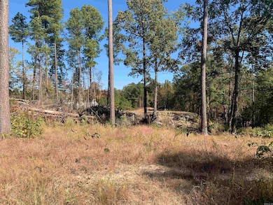 5086 Oklahoma Inn Rd, Tull, AR 72015 - photo 2