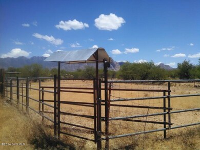 Horse and View