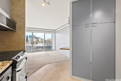 HUGE storage pantry
