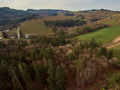 0 SW Niederberger Rd, Dundee, OR 97115 - photo 6