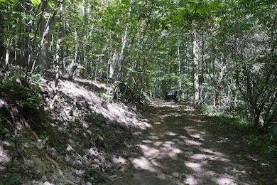 TBD Upper Possum Creek Rd, Gate City, VA 24251 - photo 2