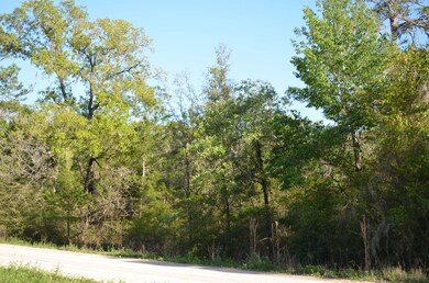 000 Fiddler's Way, Keaton Beach, FL 32348 - photo 4