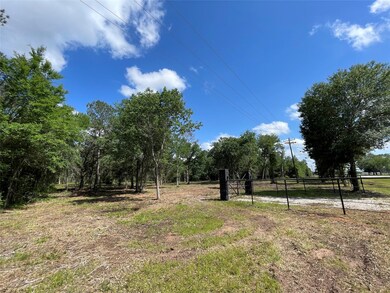 Tract 4 Farm To Market 362, Waller, TX 77484 - photo 3