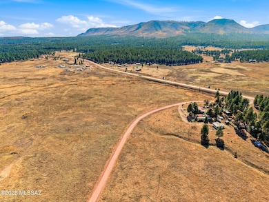 LOT 35 the Ranch at Alpine unit 35, Alpine, AZ 85920 - photo 3