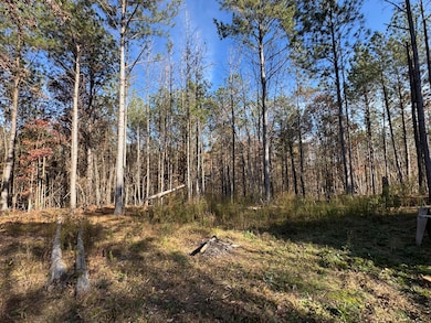 1151 Buckhead Dr, Tignall, GA 30668 - photo 3