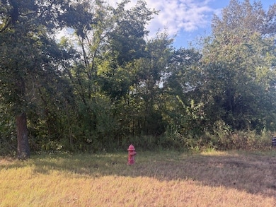 Lot 15 & 2A Highway 5, Norfork, AR 72658 - photo 4