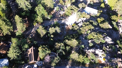 0 Elko Dr unit 219131942DA, Arrowbear, CA 92382 - photo 3