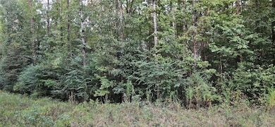0000 Old Sellers Rd, Ramer, AL 36069 - photo 5