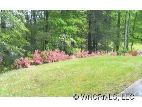 Azaleas as the Treeline