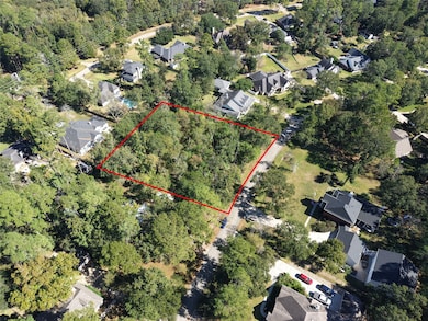 2433 Carriage Ridge Ln, Conroe, TX 77384 - photo 3