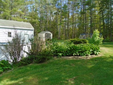 back yard