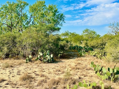 343 County Road 436, Three Rivers, TX 78071 - photo 2