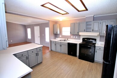 5019 Abednego Rd, Greenbrier, TN 37073 - photo 6