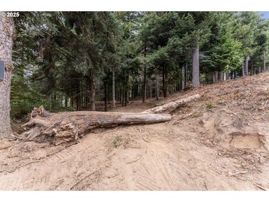 0 Newmark St unit 23622120, North Bend, OR 97459 - photo 5