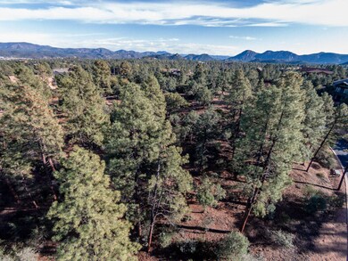 Aerial View of the Lot