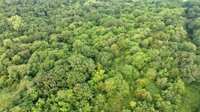 Hazel Rd, Newtown, MO 64667 - photo 5