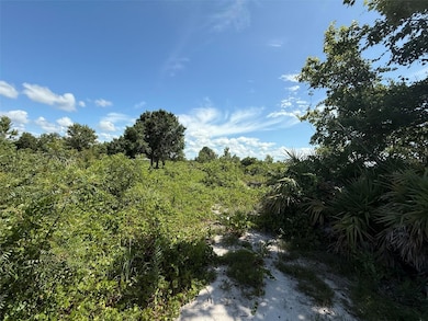 15789 NW 254th St, Okeechobee, FL 34972 - photo 5