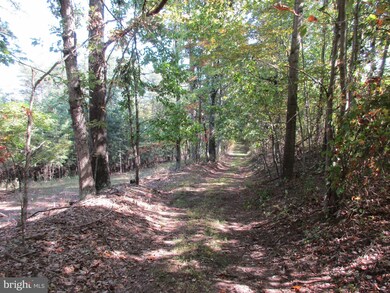 0 Lodge Ln unit 1001017143, Berkeley Springs, WV 25411 - photo 6