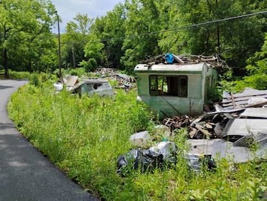 3949 Cold Stream Rd, Capon Bridge, WV 26711 - photo 6