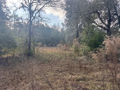 00 Lake Park St Tract 1, Douglas, GA 31533 - photo 4