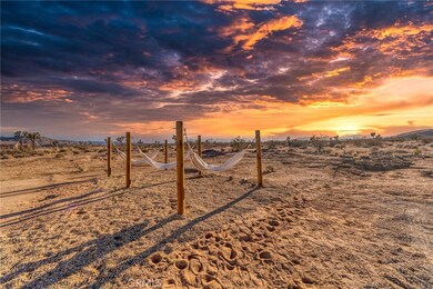 2522 Wesley Rd, Joshua Tree, CA 92252 - photo 3