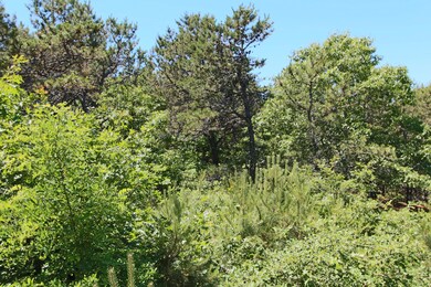 29 Noons Dr, Truro, MA 2666 - photo 7